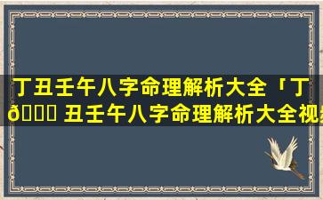 丁丑壬午八字命理解析大全「丁 🐝 丑壬午八字命理解析大全视频」